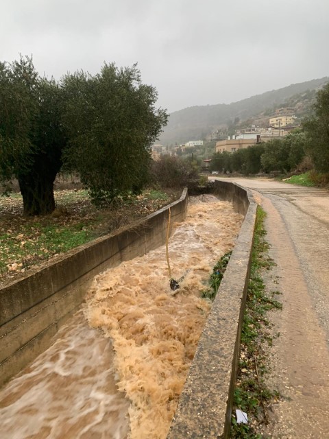 ���� ���� ��� �������