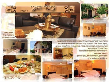 ���� ���� �����