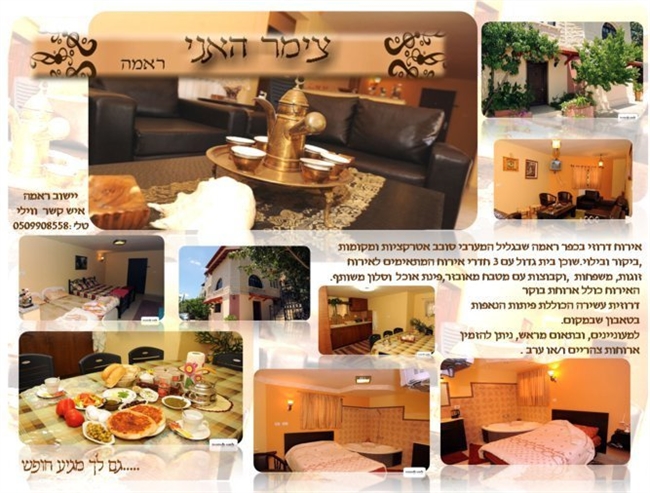 ���� ���� �����