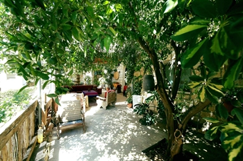 ��� ������� - ������, ����� ���� ������ �������� �����