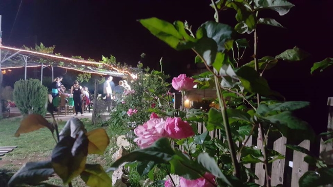 ������� ����� ������