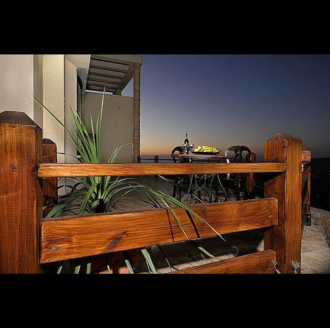 ���� ����� ������