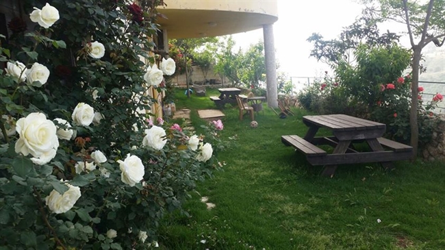 ����� ��� ������