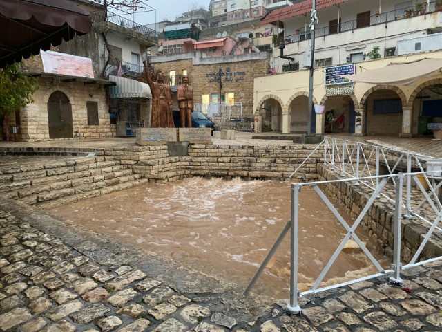 ���� �������