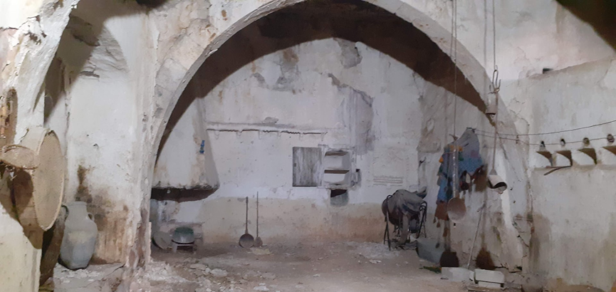 ��� ���� ����