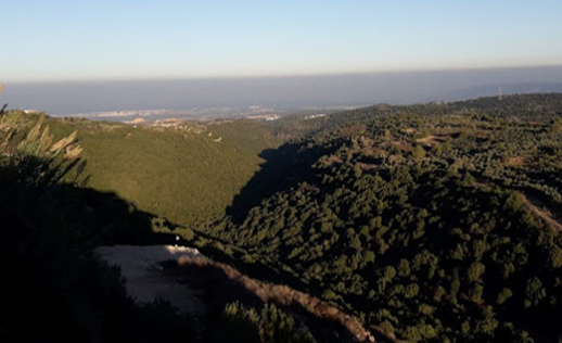 ����� ����� ����� �����