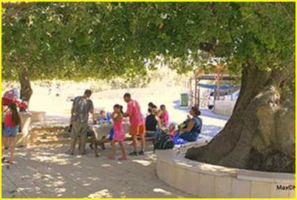 ��� -����